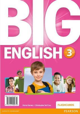 BIG ENGLISH BR 3 -Flashcards