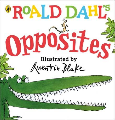 ROALD DAHL OPPOSITES - Penguin UK