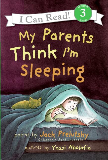 MY PARENTS THINK I´M SLEEPING - ICRB3
