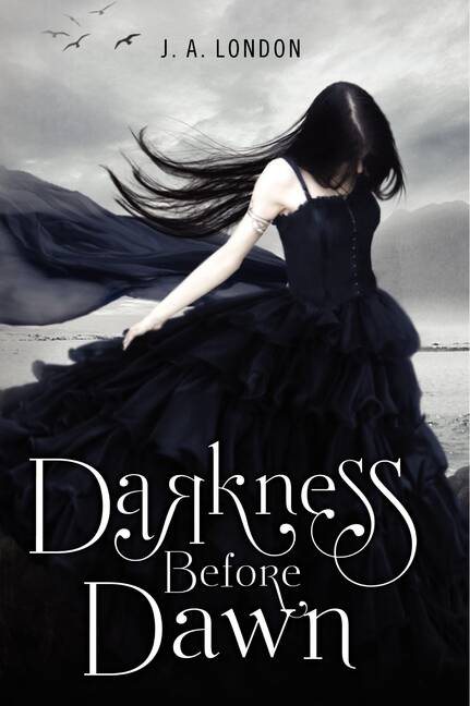 DARKNESS BEFORE DAWN - Harper Collins USA