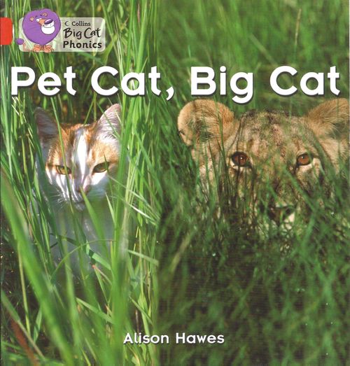 PET CAT BIG CAT - RED BAND 2A -Big Cat Phonics