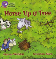 HORSE UP A TREE - YELLOW BAND 3 -Big Cat Phonics