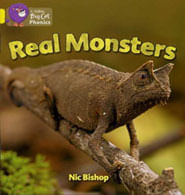 REAL MONSTERS - YELLOW BAND 3 -Big Cat Phonics