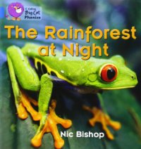 RAINFOREST AT NIGHT, THE - BLUE BAND 4 -Big Cat Phonics
