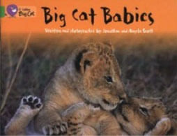 BIG CAT BABIES - BAND 5 - Big Cat