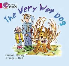 VERY WET DOG,THE - BAND 1A - Big Cat