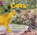 CATS---BAND-1B---Big-Cat