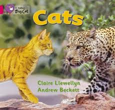 CATS---BAND-1B---Big-Cat