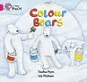COLOUR-BEARS---BAND-1B---Big-Cat