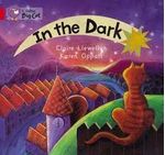 IN-THE-DARK---BAND-2A---Big-Cat