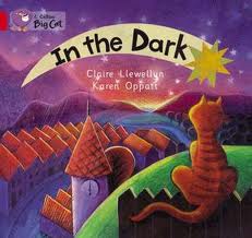 IN-THE-DARK---BAND-2A---Big-Cat