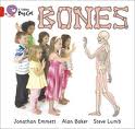 BONES - BAND 2B - Big Cat