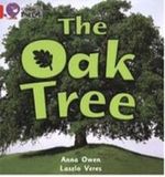 OAK-TREETHE---BAND-2B---Big-Cat