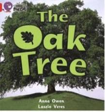 OAK-TREETHE---BAND-2B---Big-Cat