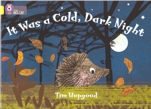 IT WAS A COLD, DARK NIGHT - BAND 3 - Big Cat
