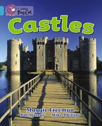CASTLES - BAND 7 - Big Cat