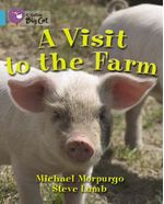 VISIT-TO-THE-FARMA---BAND-7---Big-Cat