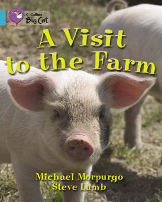 VISIT TO THE FARM,A - BAND 7 - Big Cat