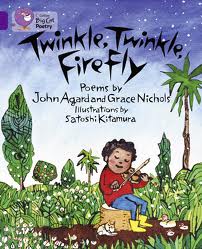 TWINKLETWINKLEFIREFLY---BAND-8---Big-Cat