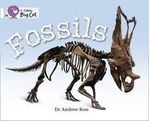 FOSSILS---BAND-10---Big-Cat