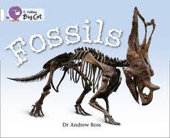 FOSSILS - BAND 10 - Big Cat