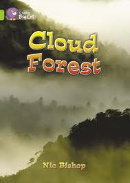 CLOUD FOREST - BAND 11 - Big Cat