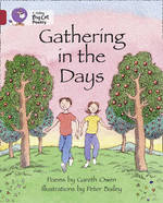 GATHERING-IN-THE-DAYS---BAND-14---Big-Cat