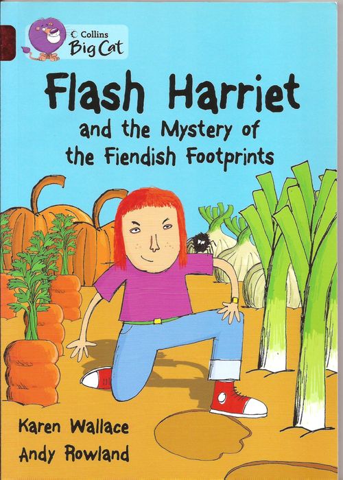 FLASH HARRIET AND THE MYSTERY  - BAND 14 - Big Cat