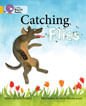 CATCHING-FLIES---BAND-9---Big-Cat-Poetry