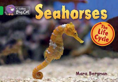 SEAHORSES - BAND 5 - Big Cat