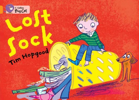 LOST SOCK - BAND 6 - Big Cat