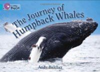 JOURNEY OF HUMPBACK WHALE, THE- BAND 7 - Big Cat