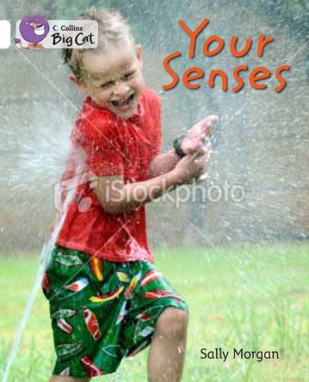 SENSES,YOUR - BAND 10 - Big Cat