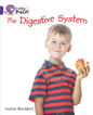 DIGESTIVE SYSTEM, THE - BAND 8 - Big Cat