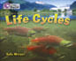 LIFE CYCLES - BAND 16 - Big Cat