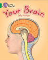 YOUR BRAIN - BAND 15 - Big Cat