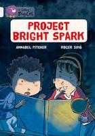 PROJECT BRIGHT SPARK - BAND 17 - Big Cat