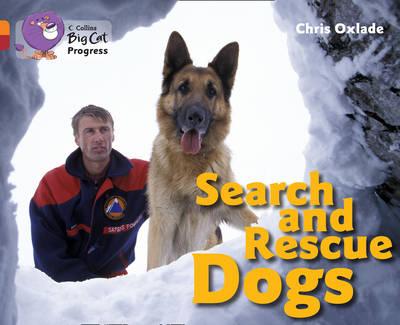 SEARCH AND RESCUE DOGS - BAND 6/BAND 14 - Big Cat Progress