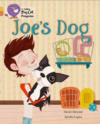 JOE`S DOG - BAND 9/BAND 12 - Big Cat Progress