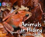 ANIMALS-IN-HIDING---BAND-4---Big-Cat