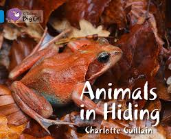 ANIMALS IN HIDING - BAND 4 - Big Cat