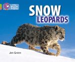 SNOW-LEOPARDS---BAND-11-BAND-12---Big-Cat-Progress