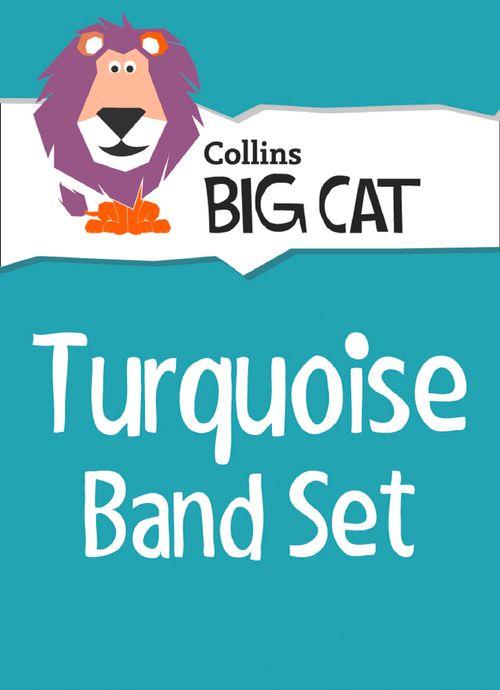 BIG CAT TURQUOISE STARTER SET