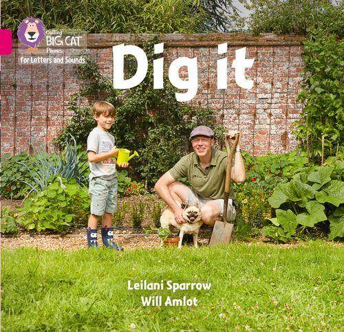 DIG IT - Big Cat Phonics for Letters and Sounds