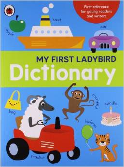 MY FIRST LADYBIRD DICTIONARY