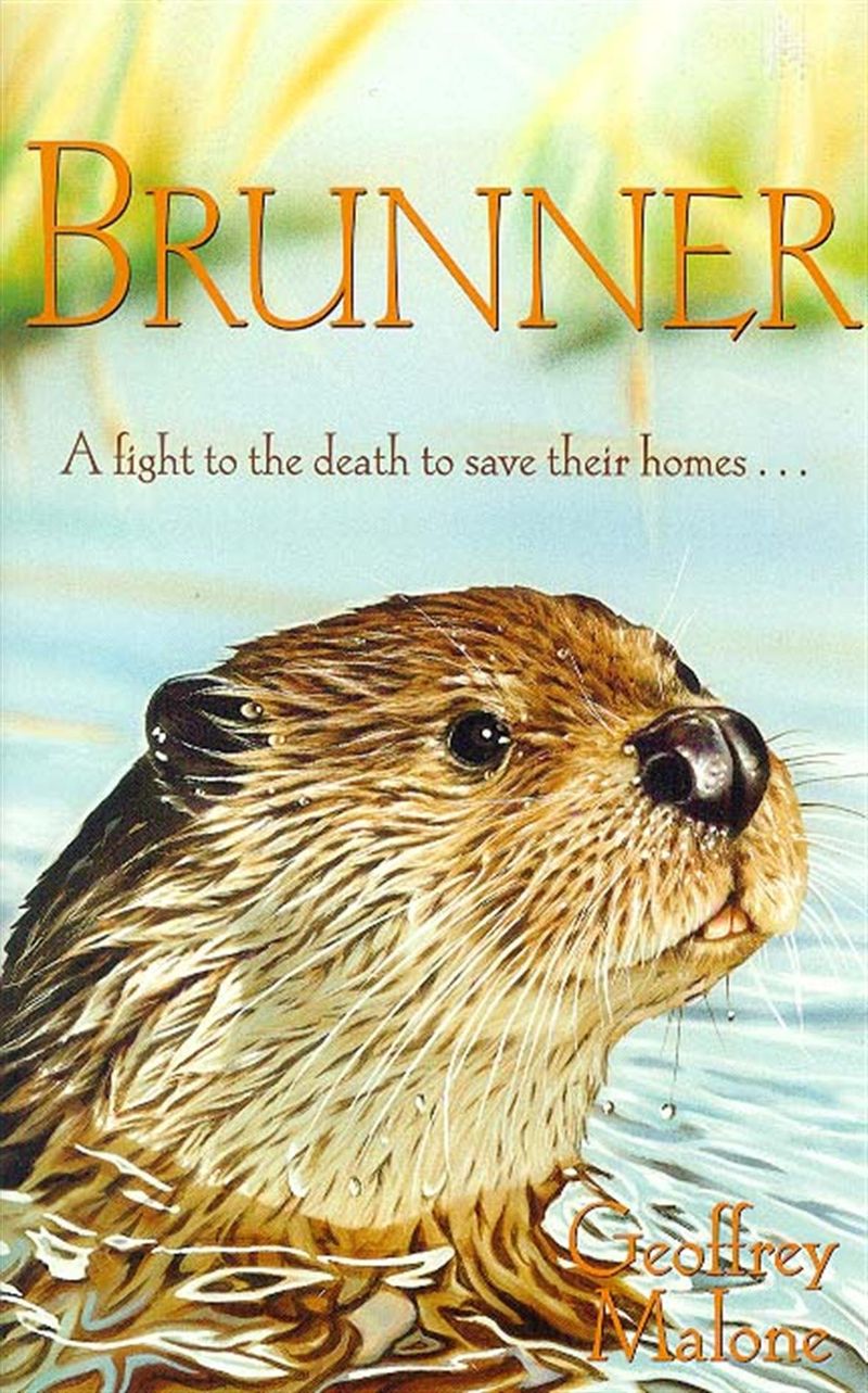 BRUNNER---Hodder