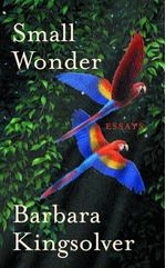 SMALL-WONDER---Faber---Faber
