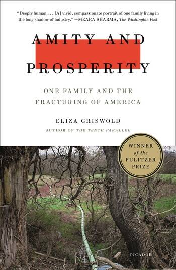 AMITY AND PROSPERITY - Picador *Pulitzer Prize