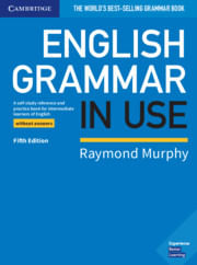ENGLISH GRAMMAR IN USE  without Answers  5th Edition