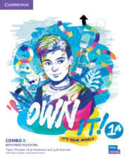 OWN IT ! LEVEL 1 -    Combo A ST'S and WB w/Practice Extra